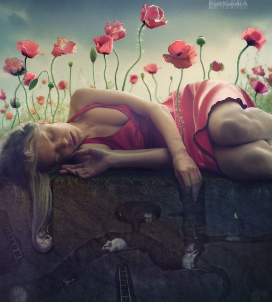 Елена Визерская картины