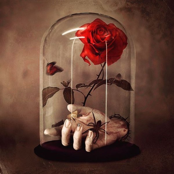 Умирающие цветы