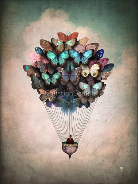 Christian Schloe картины бабочки