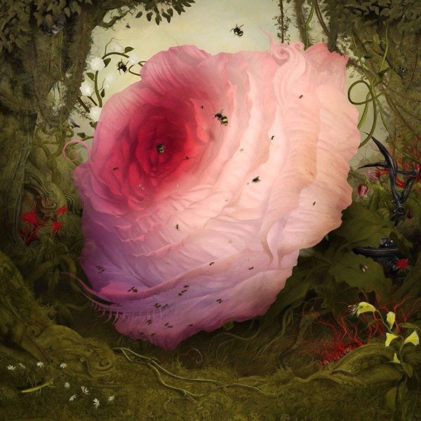 Сюрреализм обложка