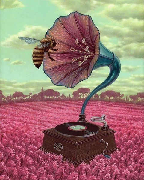 Сюрреалистические цветы