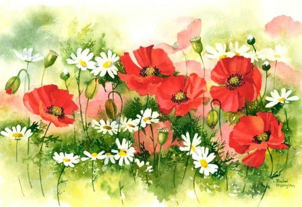 Картина маки Рэйчел МАКНОТОН
