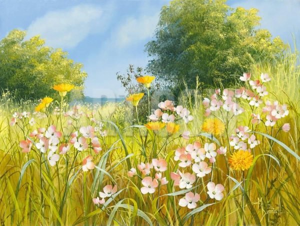 Художница Mary Dipnall