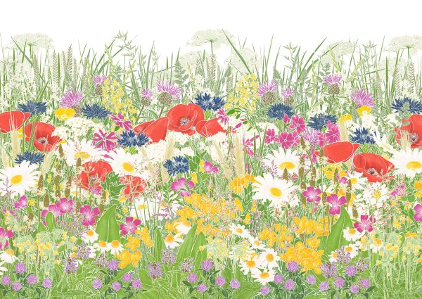 Цветочный луг