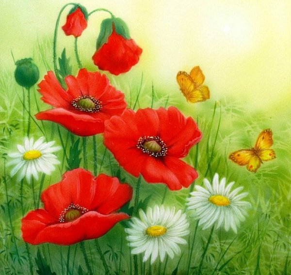 Цветочная клумба с маками