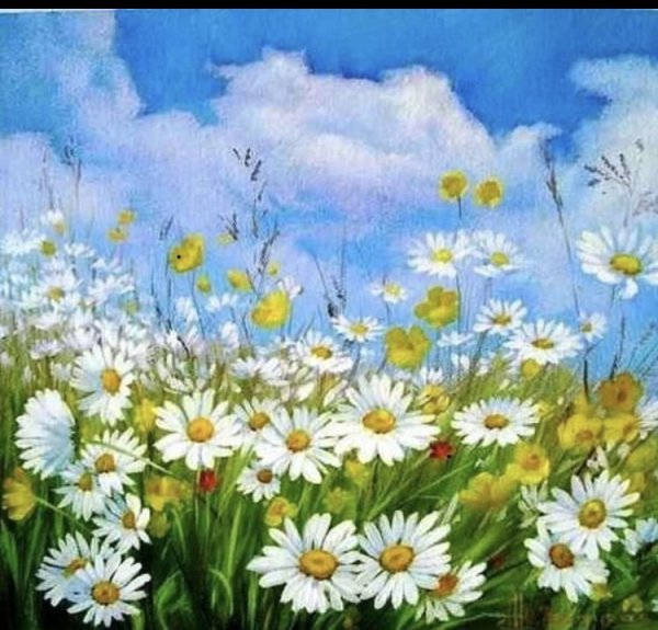 Живопись Ромашковые пейзажи