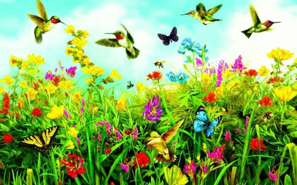 Луг с цветами и бабочками