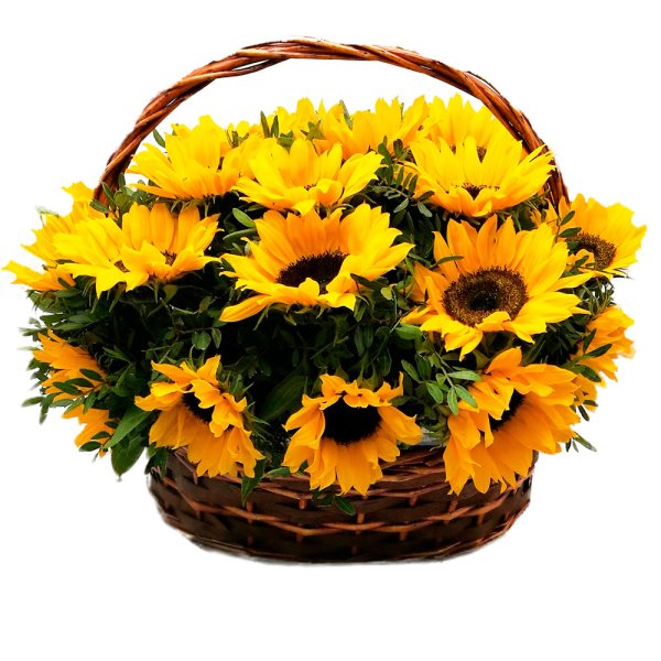 Подсолнухи в корзине