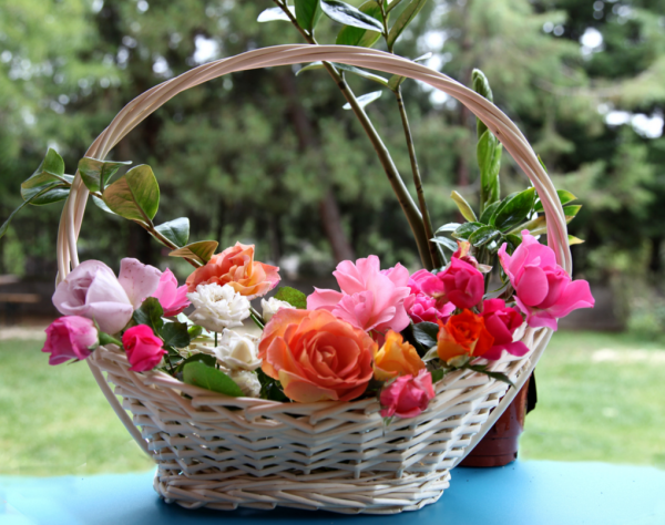 Букет гербер открытка