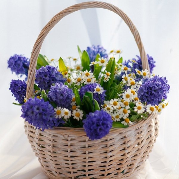 Корзина цветов