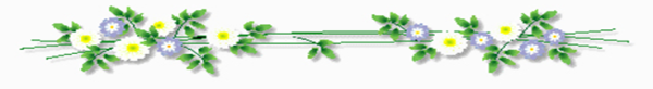 Цветочный разделитель