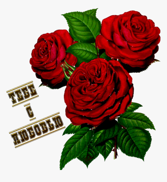 Стикеры с цветами