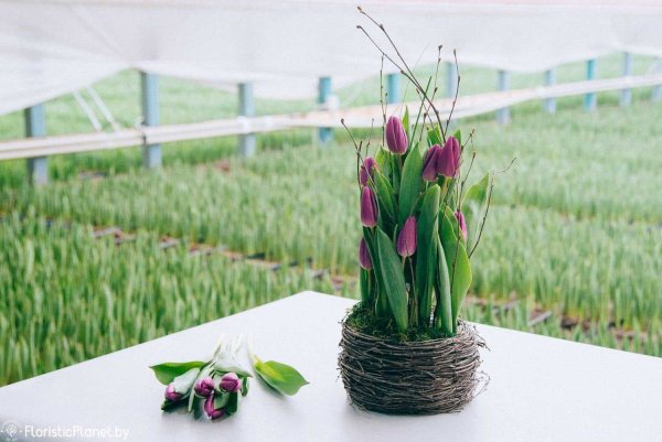 Флористические композиции с тюльпанами