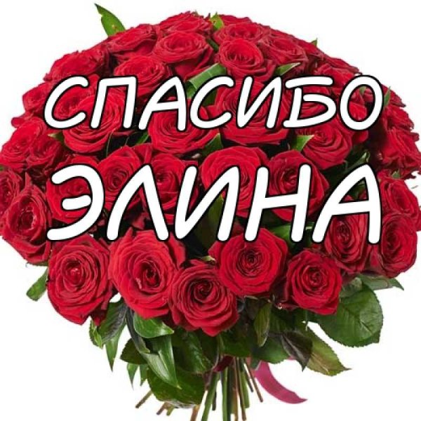 Надпись Элина