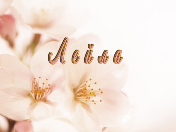 Мадина надпись