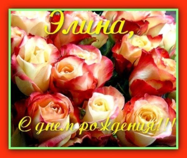 Илфина с днём рождения