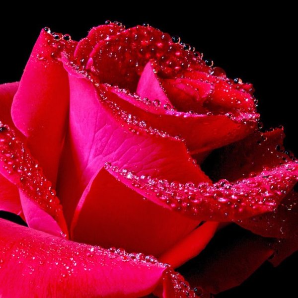 Тамара надпись