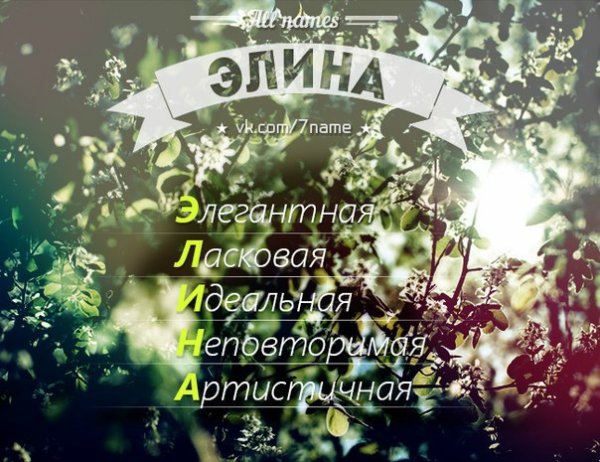 Поздравить Элину с днем рождения