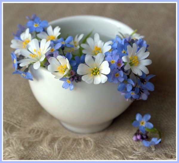 Цветочки в чашечке