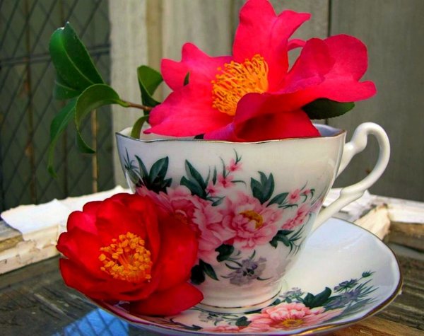 Чашка на блюдце с цветами