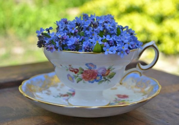 Цветочная композиция в чашке