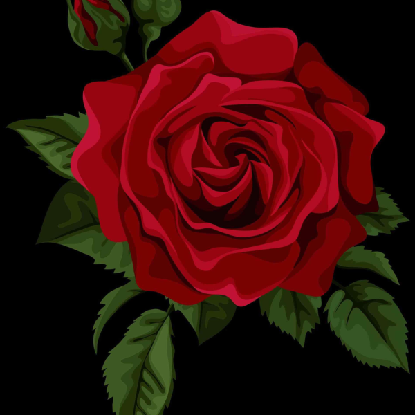 Фиолетовые цветы