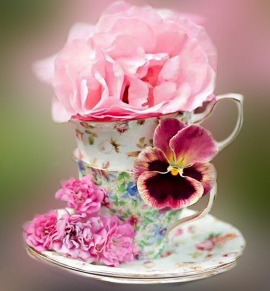 Цветы в чашке