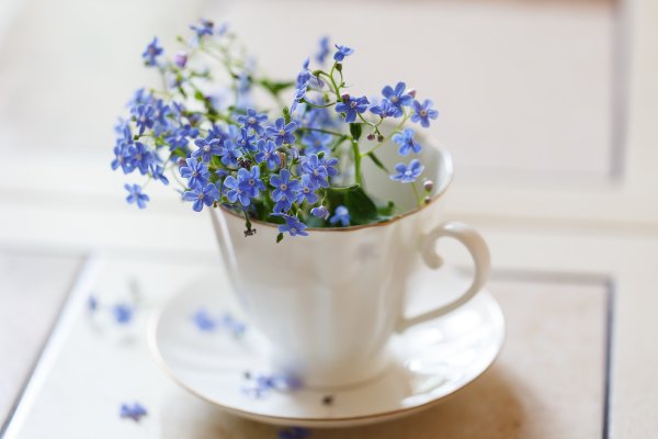 Композиция в лейке