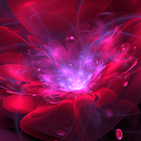 Летто Хризантема