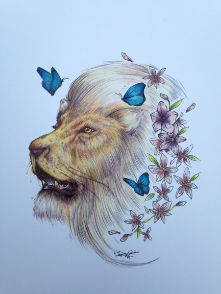 Лев в цветах рисунок