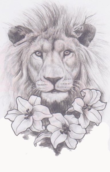 Тату львица для девушек эскизы