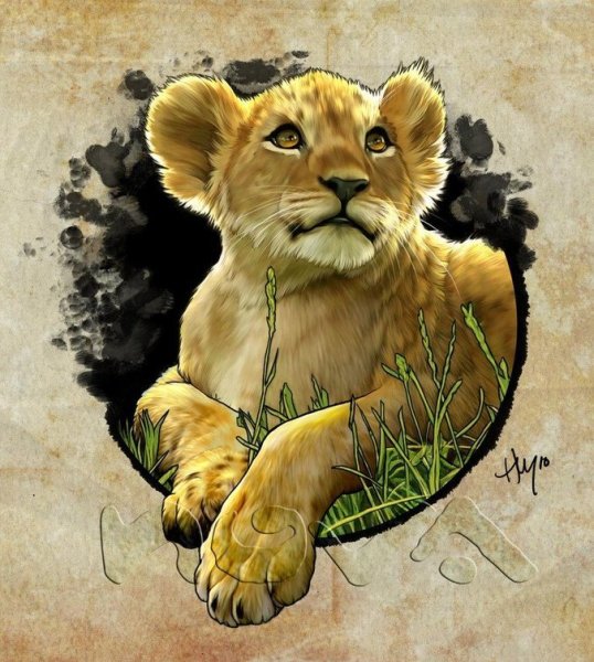 Львенок рисунок