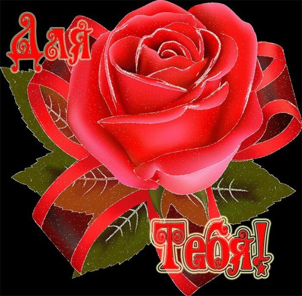 Красивые цветы для Нины