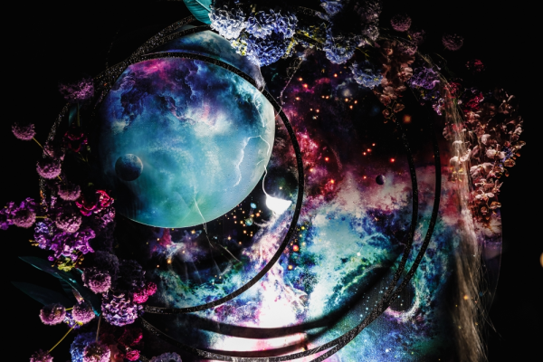 Планета земля в цветах