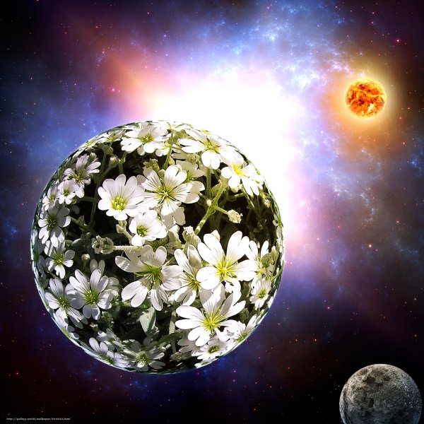 Планета земля в цветах