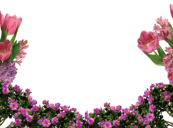 Цветы для фотошопа