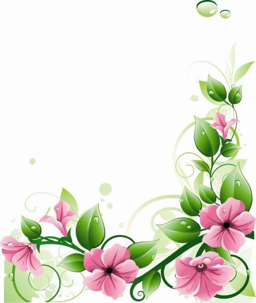 Цветы угловые