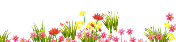 Трава с цветами без фона