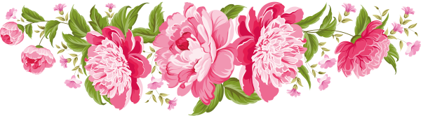 Цветочные бордюры на прозрачном фоне