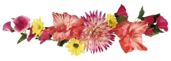 Полоса из цветов