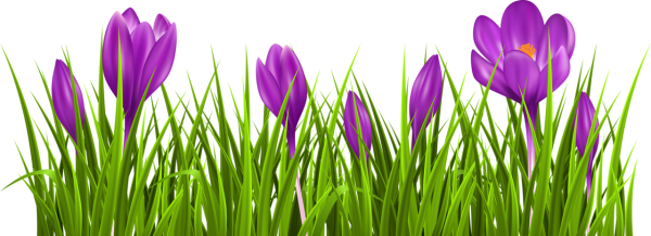 Цветы рамка сверху