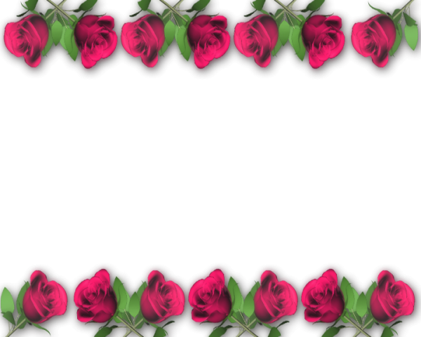 Цветы горизонтальные