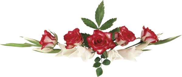 Цветы для фотошопа