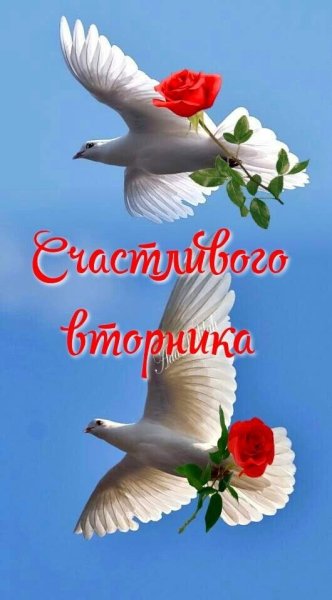 Голубь с цветами