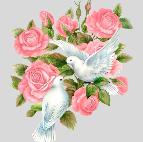 Голубь с цветком
