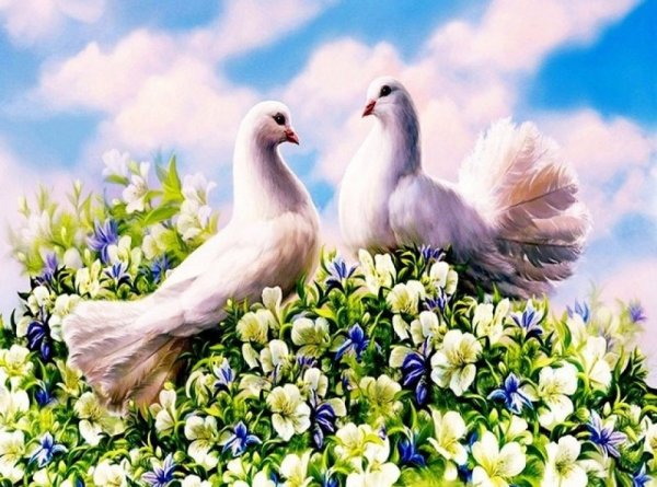 Голуби в цветах