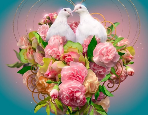 Голубь картинка