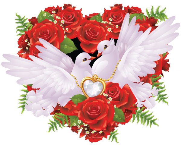 Голубь с розой в клюве