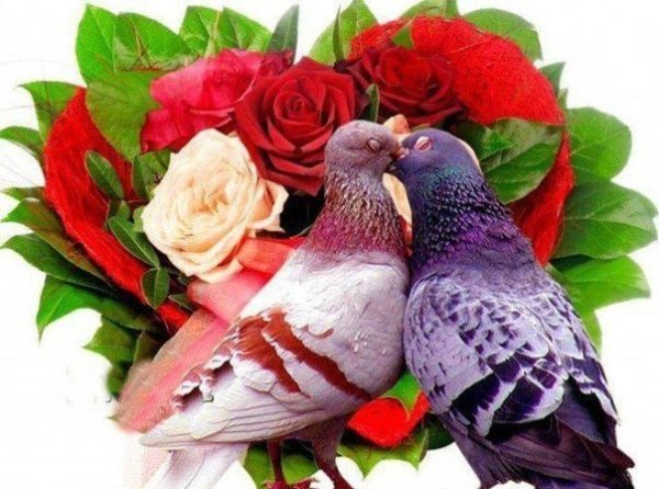 Фон с голубями