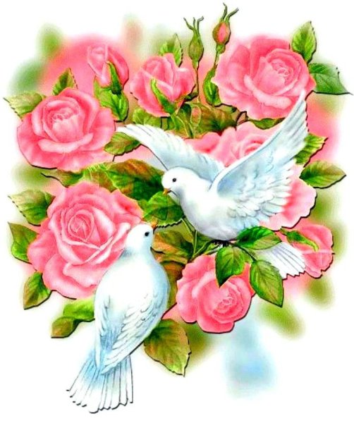 Горлица в цветах